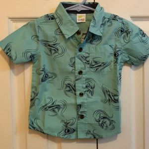 Toddler boy button down shirt